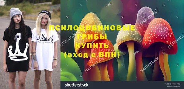 тгк Богородск